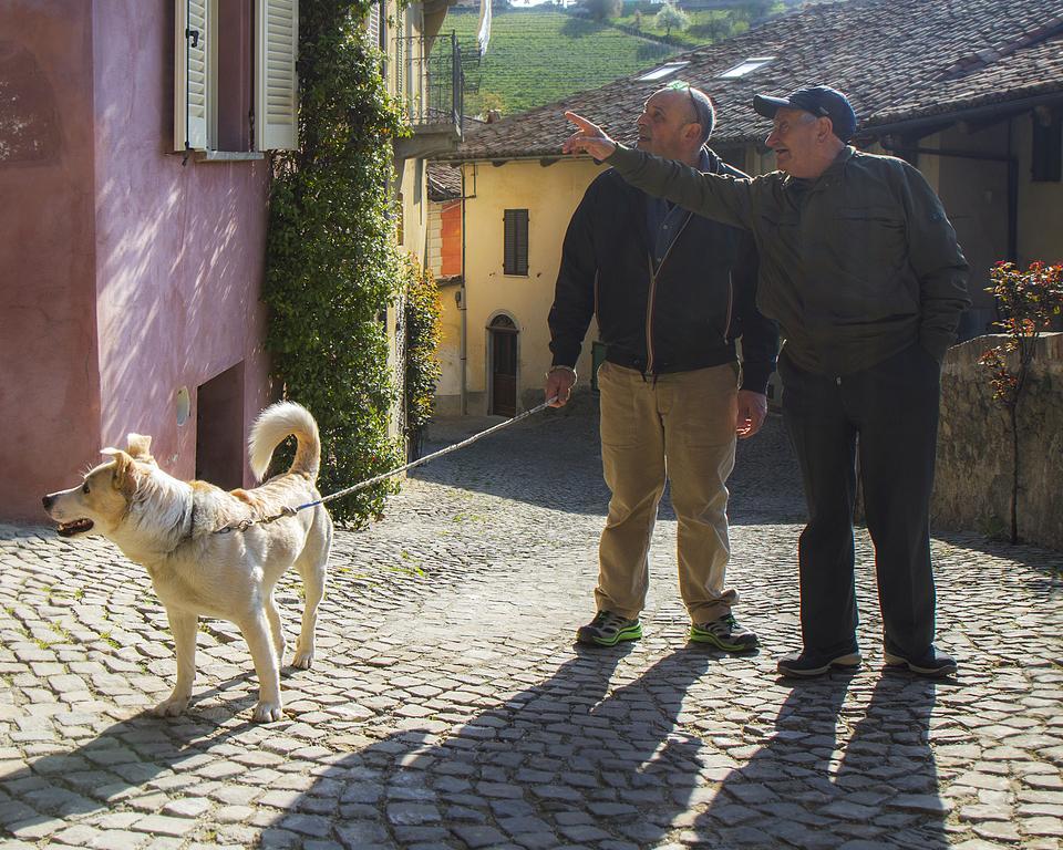 Dimora I Manichei Hotel Monforte D'Alba Eksteriør billede
